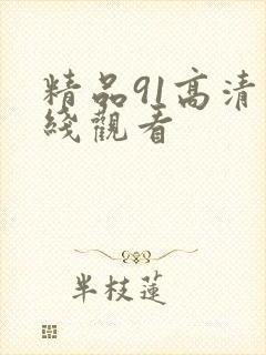 精品91高清在线观看封面
