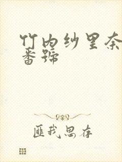 竹内纱里奈全部番号封面