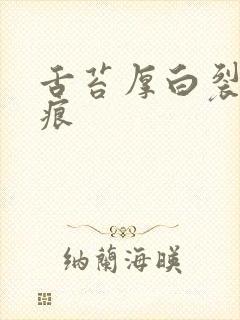 舌苔厚白裂纹齿痕封面