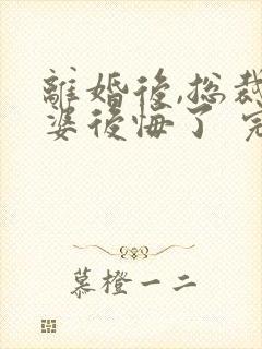 离婚后,总裁老婆后悔了 完结版