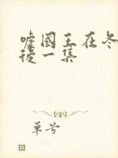 嘘国王在冬眠最后一集