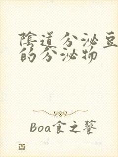 阴道分泌豆腐渣的分泌物