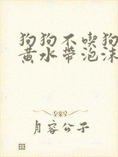 狗狗不吃狗粮吐黄水带泡沫