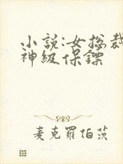 小说:女总裁的神级保镖