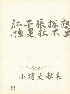 肚子胀总想拉屎,但是拉不出