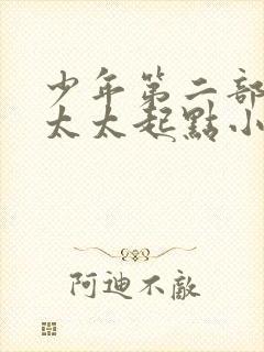 少年第二部房东太太起点小说在线收