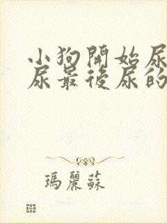 小狗开始尿的是尿最后尿的是血