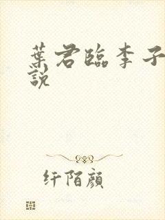 叶君临李子染小说封面