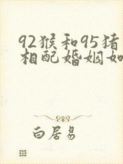 92猴和95猪相配婚姻如何