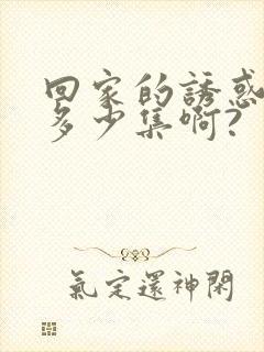 回家的诱惑一共多少集啊?封面