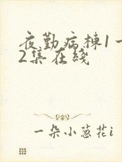 夜勤病栋1一12集在线封面