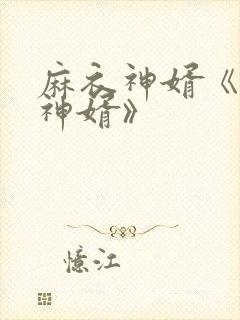 麻衣神婿《天降神婿》封面