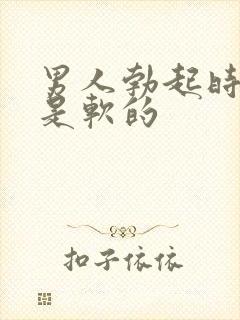 男人勃起时龟头是软的封面