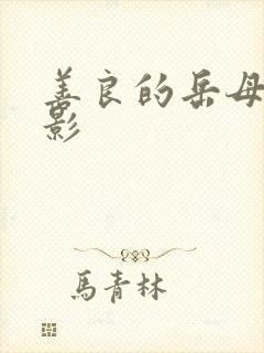 善良的岳母3电影