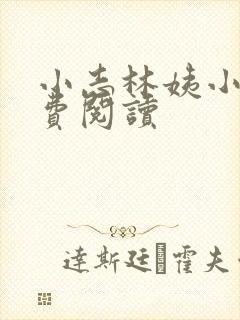 小志林姨小说免费阅读封面