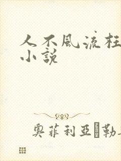 人不风流枉少年小说封面