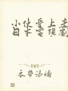 小伙爱上老阿姨日本电视剧免费播放
