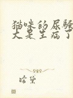 猫咪的尿骚味很大是生病了吗封面