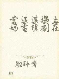 当婆婆遇上的妈妈电视剧在线观看