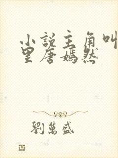 小说主角叫陈万里唐嫣然