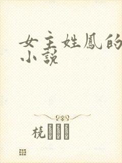 女主姓凤的修仙小说封面