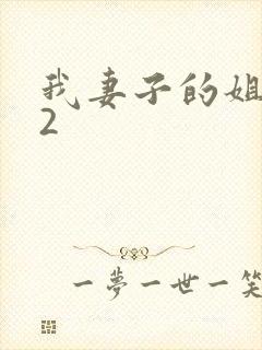 我妻子的姐姐 2