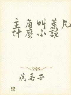 主角叫叶凡的是什么小说