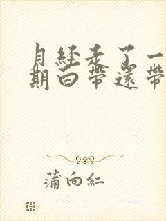 月经走了一个星期白带还带血丝