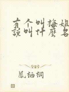 有个叫梅姐的小说叫什么名字