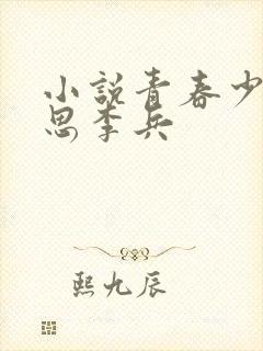 小说青春少年沈思李兵