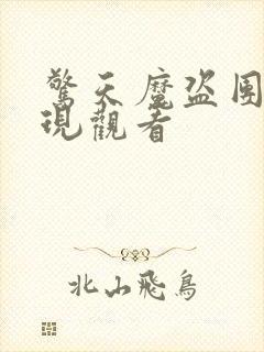 惊天魔盗团2在现观看