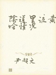 阴道里流黄水是啥情况