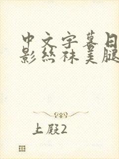 中文字幕日韩电影丝袜美腿封面