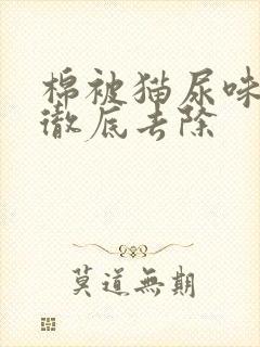 棉被猫尿味怎么彻底去除