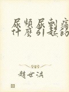 尿频尿刺痛尿血什么引起的