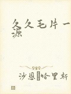 久久毛片一区资源