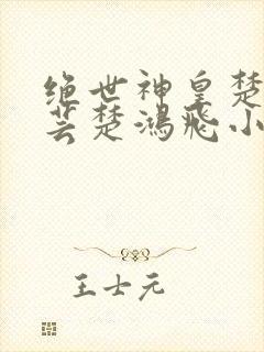 绝世神皇楚风楚芸楚鸿飞小说