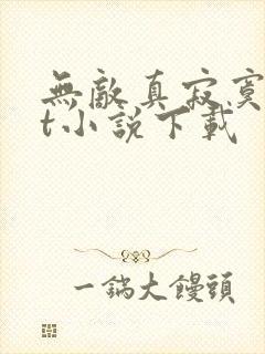 无敌真寂寞txt小说下载