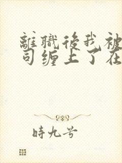 离职后我被前上司缠上了在线阅读全文