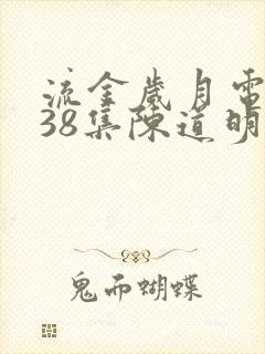 流金岁月电视剧38集陈道明封面