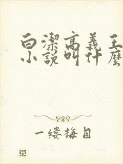 白洁高义王申的小说叫什么来着