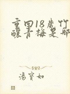 重回18岁竹马酿青梅是哪部小说