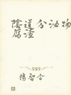 阴道分泌物黄豆腐渣