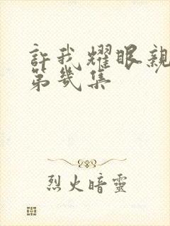 许我耀眼亲热在第几集