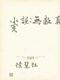 小说:无敌真寂寞