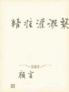 精准灌溉系统封面