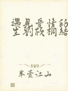 遇见爱情的利先生刘欣桐结婚