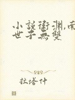 小说卫渊,南栀世子无双