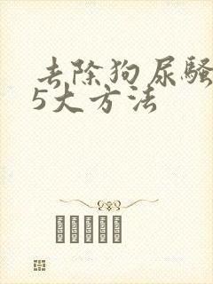 去除狗尿骚味的5大方法