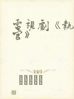 电视剧《执行法官》封面